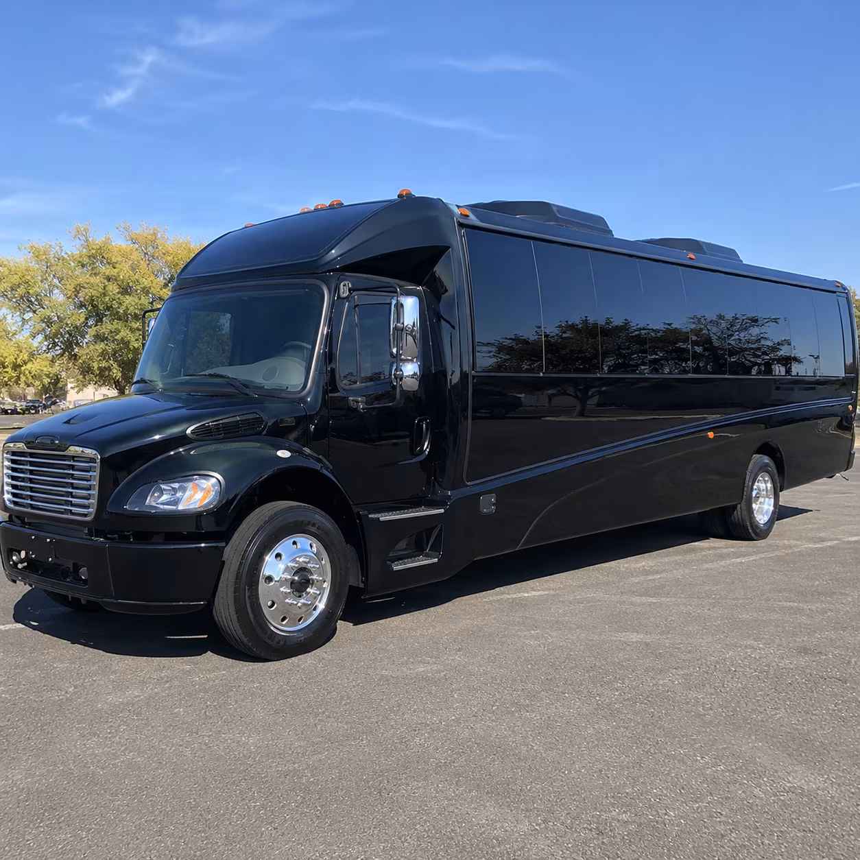las cruces 15 passenger minibus