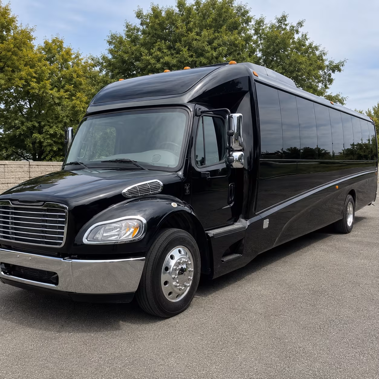 las cruces 18 passenger minibus