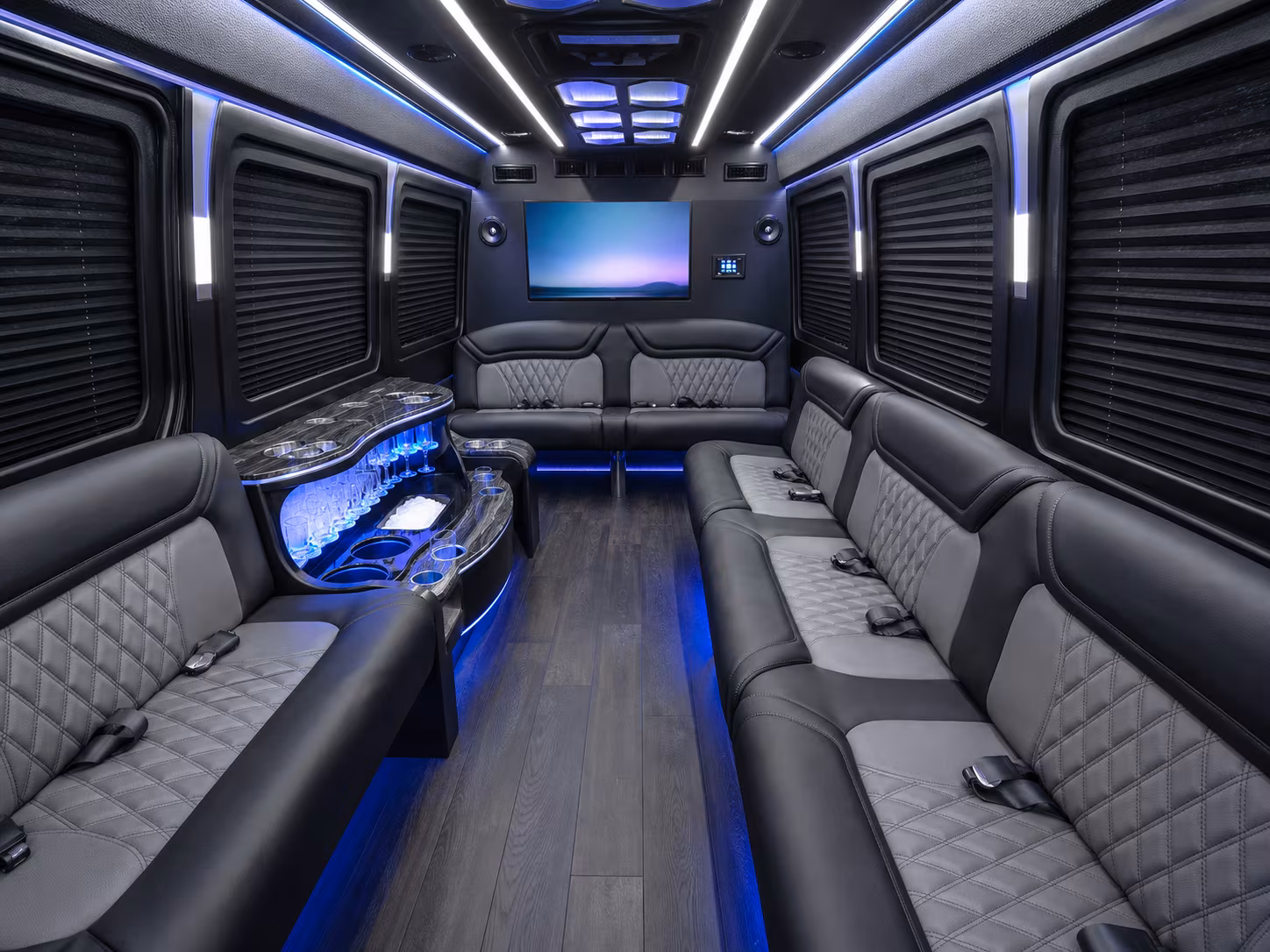 las cruces sprinter limousine inside